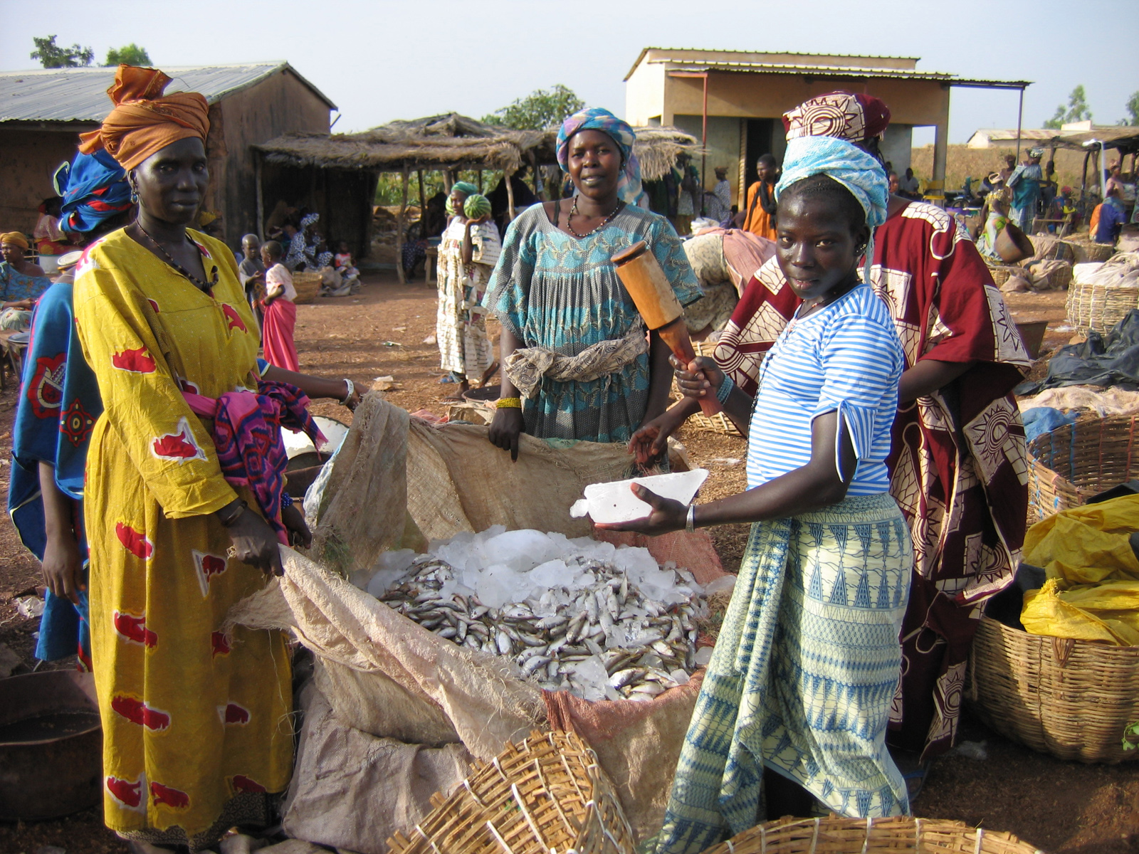 Fish traders in Mali use ice to extend the shelf life of their products. Photo by Eddie Allison.