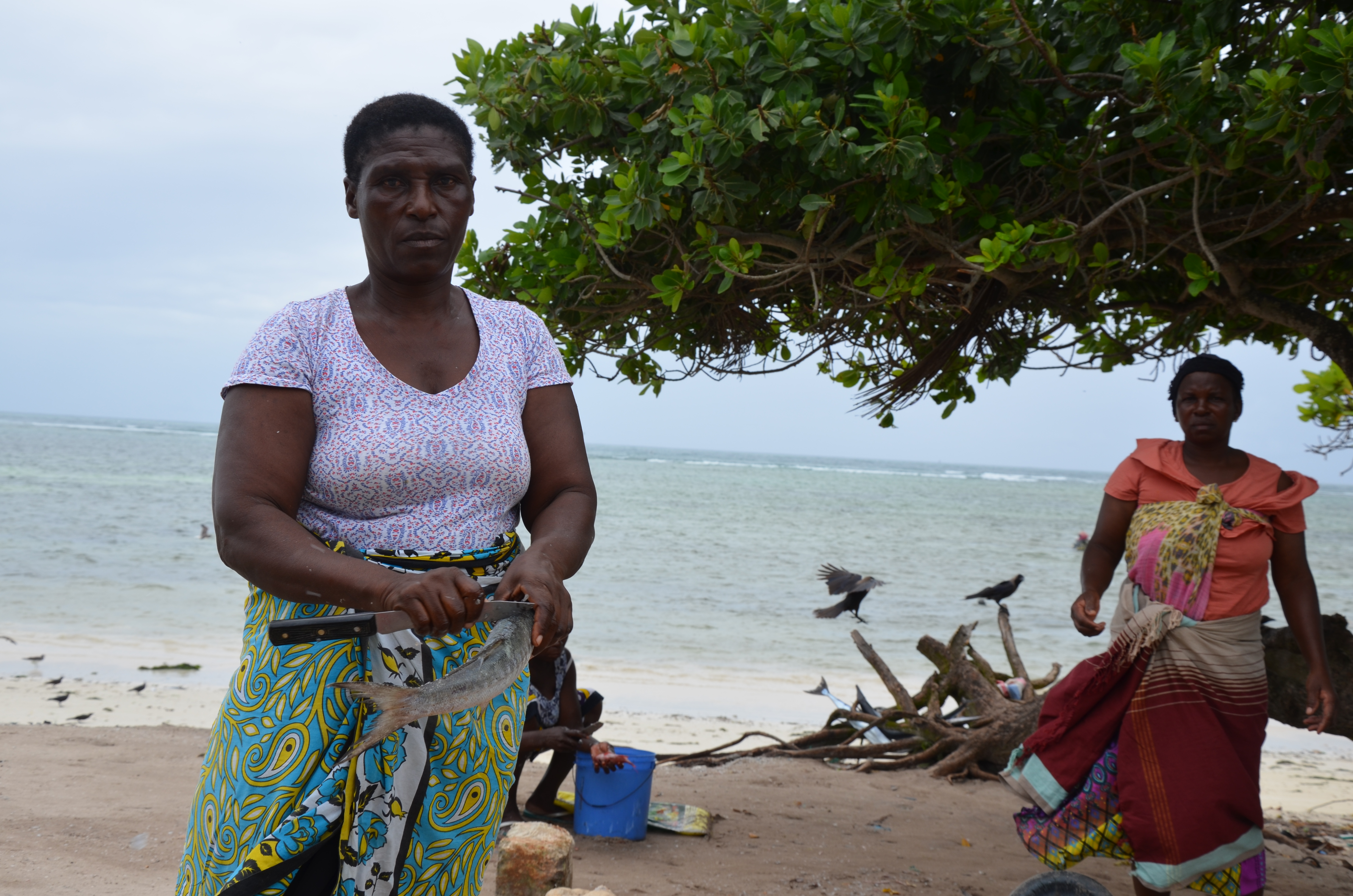 Seasonality of the fish catch is a major challenge for Mary. During the low season, she may struggle to even buy fish. She would like to receive training to better manage her business and cope during the lean season. 