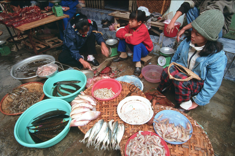 Aquatic foods are regarded as superfoods because they are a significant source of protein, micronutrients and essential fatty acids. ​​​​​​​Photo by Dominyk Lever