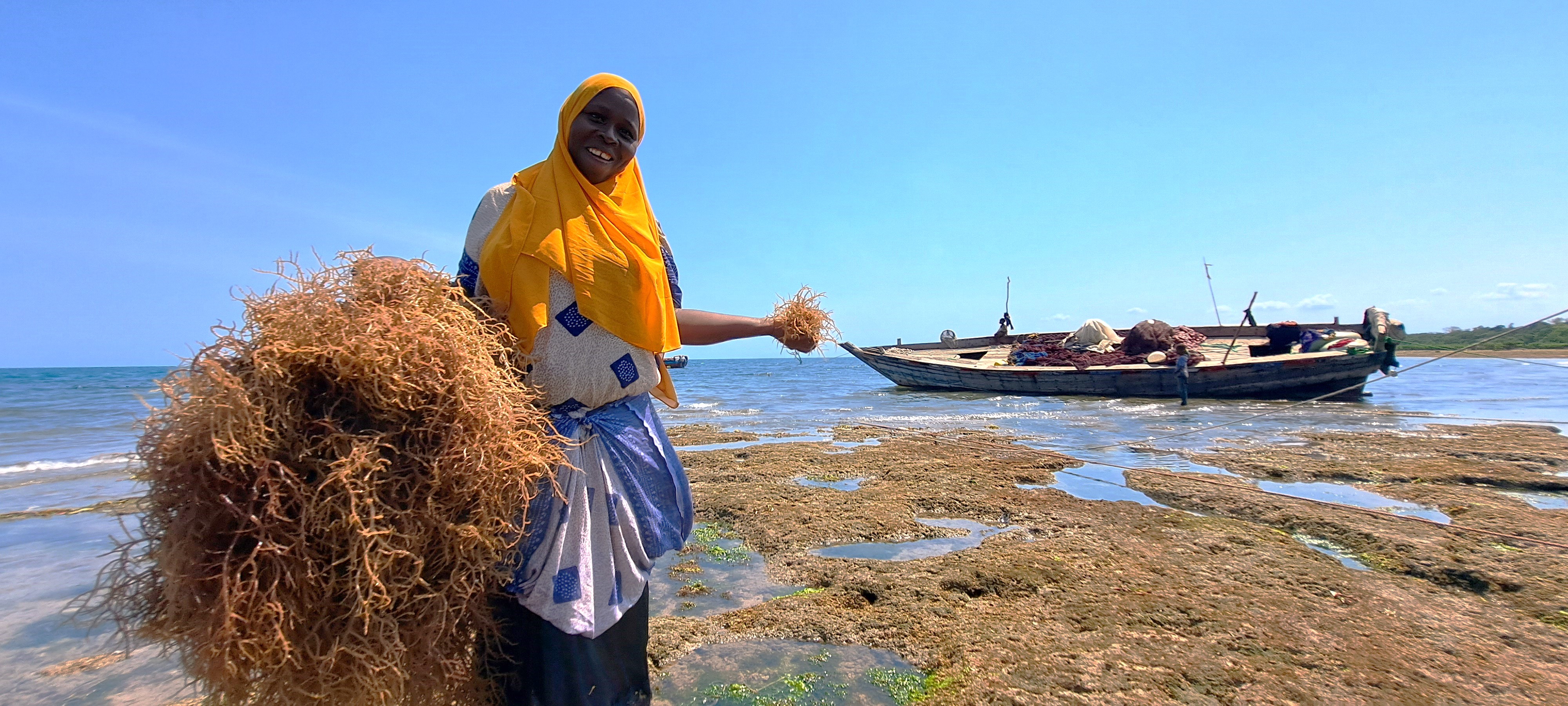 Ms. Tima Mwalimu/Abdala Darus, a Kibuyuni seaweed farmer, showcasing her seaweed harvest (Eucheuma denticulatum) 