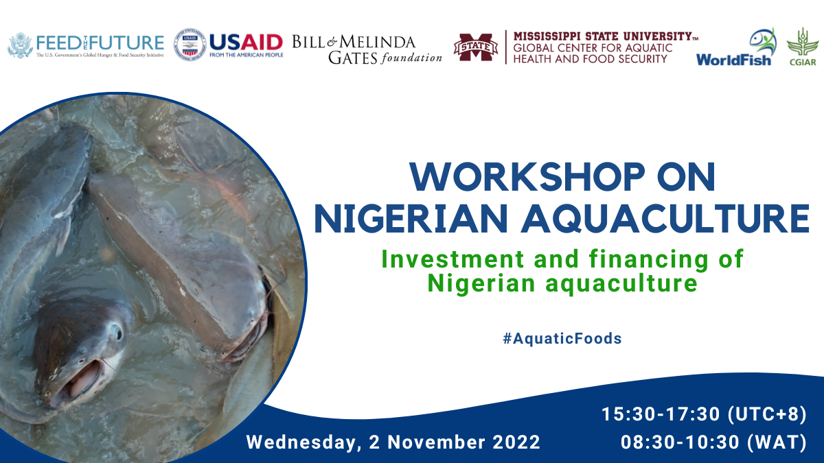 Investment and financing of Nigerian aquaculture