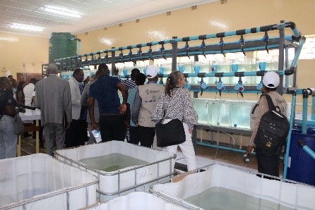 FASA workshop participants visited the recirculation aquaculture system fish wet laboratory[6]