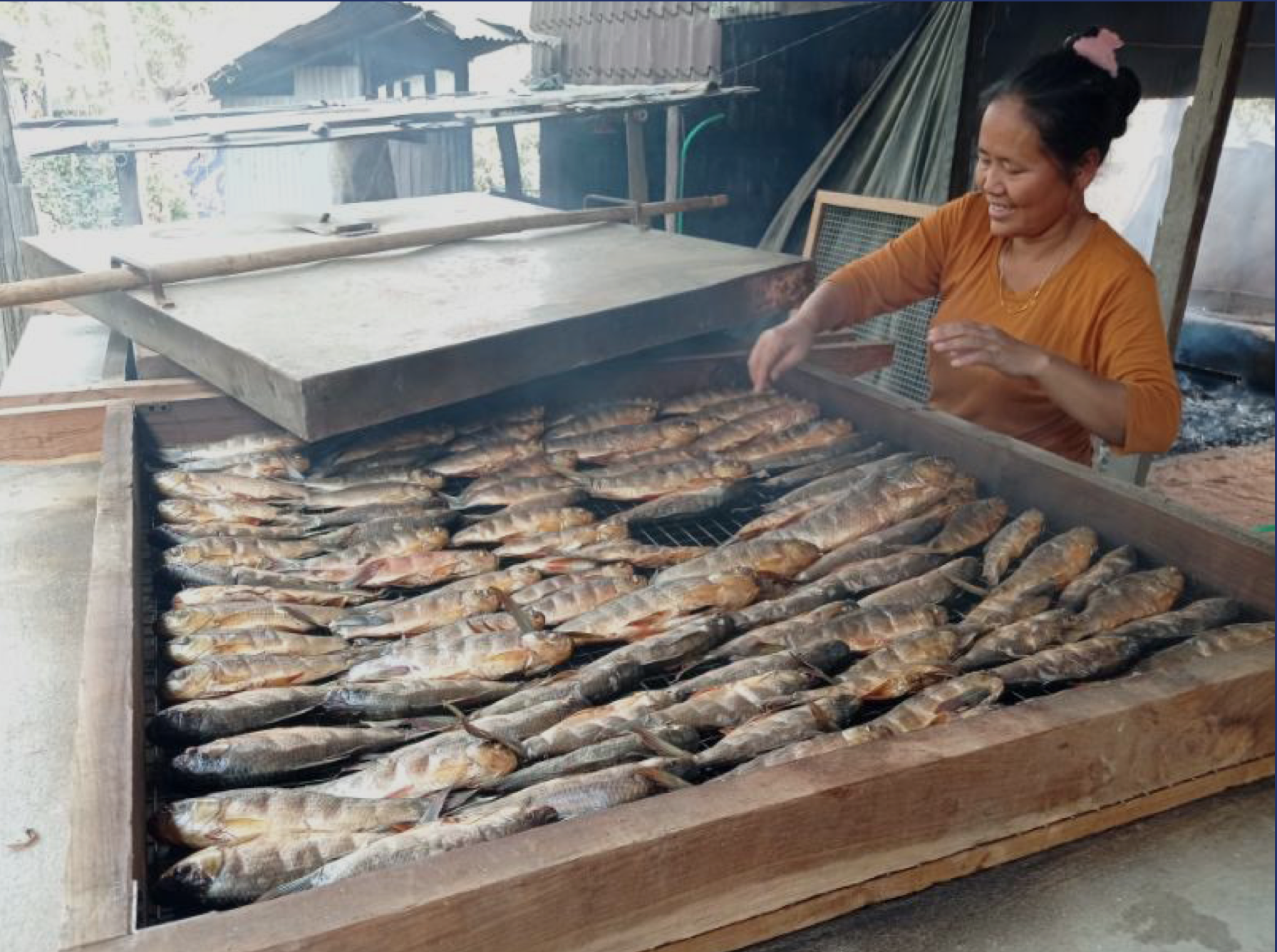 FTT smokers significantly reduces smoking time, fuel use and increasing profitability for fish processors. Photo by WorldFish.