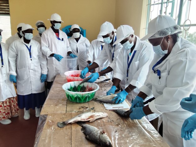 Participants being trained how to handle and process fish during the training. Photo: Catherine Kilelu, ACTS