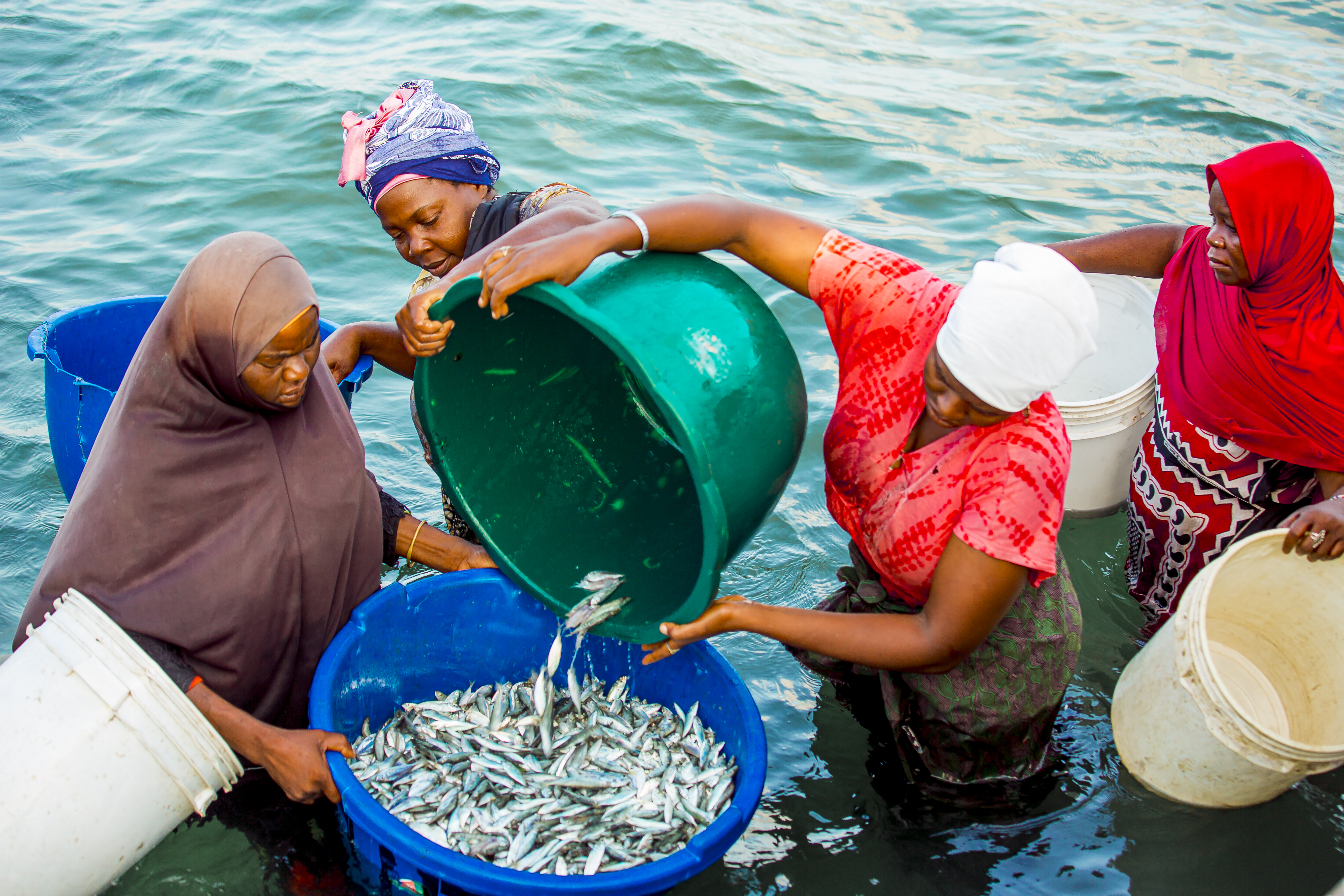 Over 80% of Tanzania's marine Dagaa is exported to regional markets in countries such as Zambia, the DRC, Rwanda, and Burundi. Photo: Philipo Ngonyani