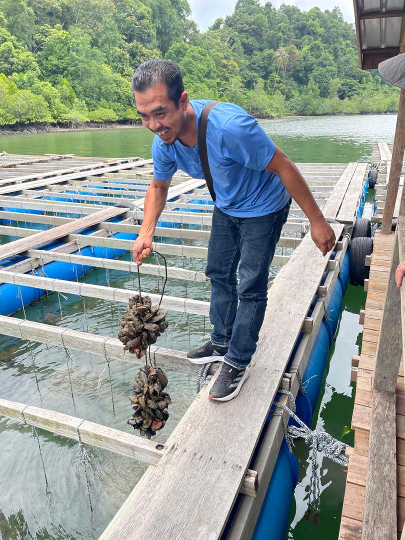 An aquapreneur demonstrates oyster culture using a longline system at his aquaculture farm in Langkawi, Kedah.