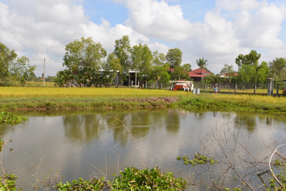 Ricefield pond experiment site Takeo