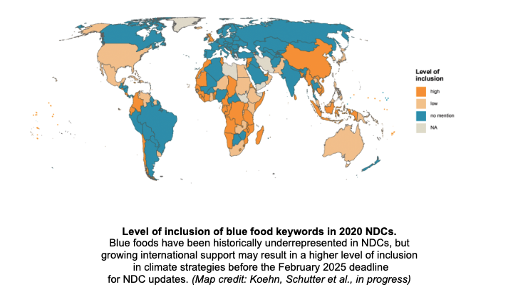 Level of inclusion of blue food keywords in 2020 NDCs