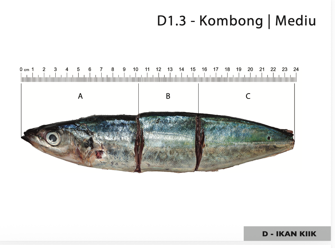 Example of a portion size estimation visual aid used in the national survey to improve the accuracy of reported fish and aquatic food consumption.