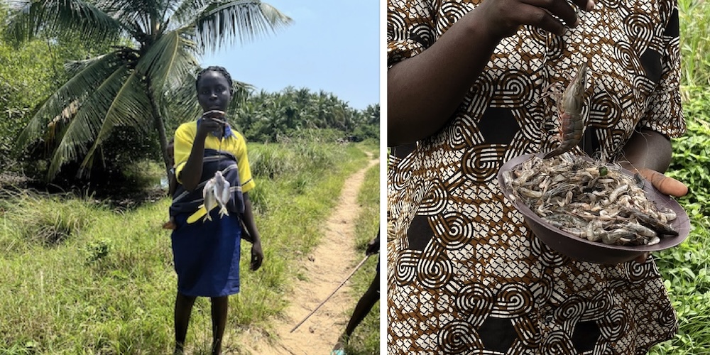 A young mother displays the fish she has caught for eating purposes and a woman in a Lagos fishing community displays the shrimps she has caught