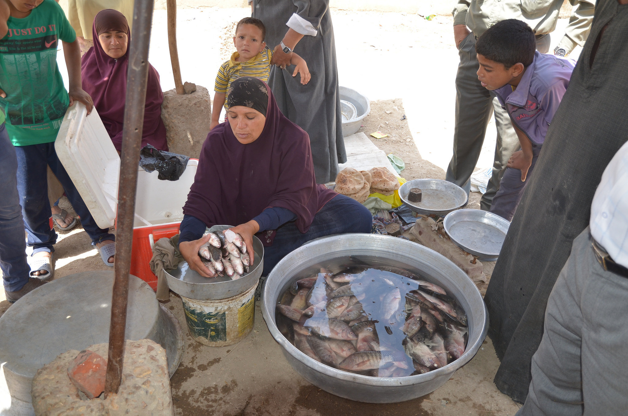 Women fish retailers in Shakshouk, Fayoum, Egypt. Photo by Jens Peter Tang Dalsgaard, 2013