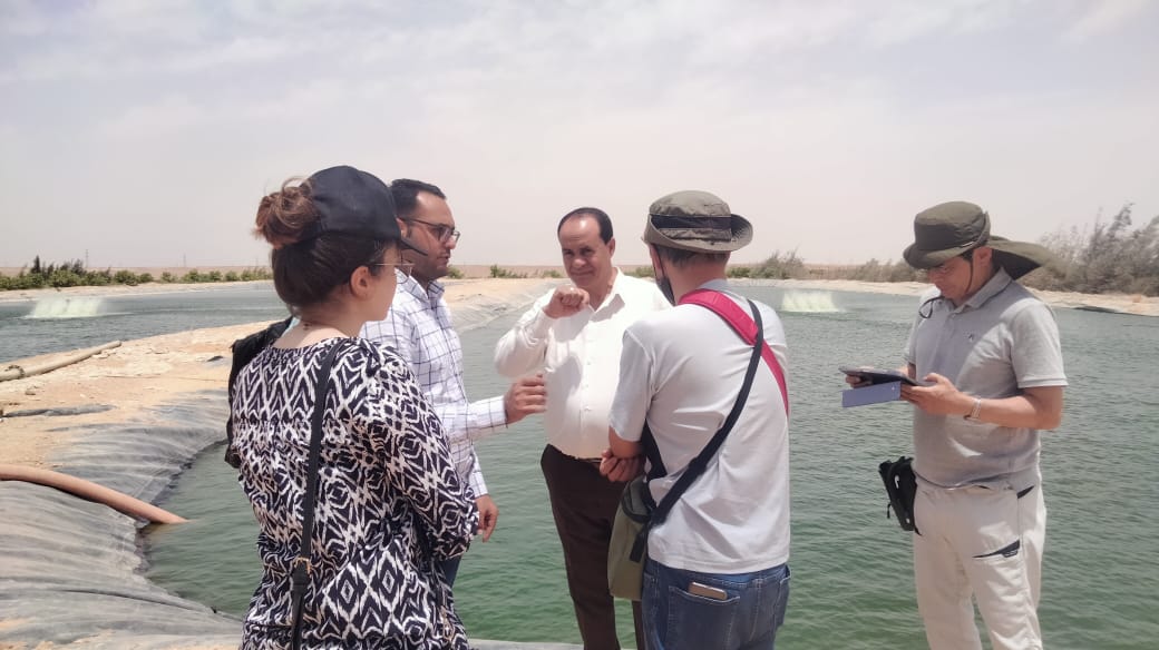 WorldFish visit under F2R-CWANA, to an Integrated Agriculture-Aquaculture (IAA) farm in Mallawi at Mineya governorate, Egypt. Photo by WorldFish – Egypt.