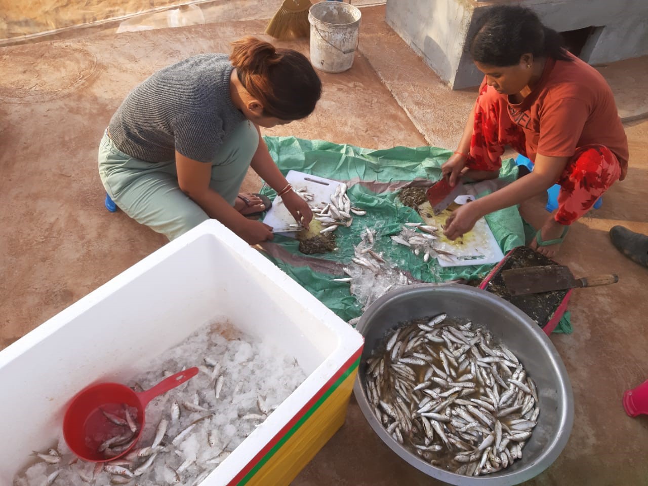 Gender disparities in aquatic food loss and waste exist and needs to be tackled. Photo by WorldFish 