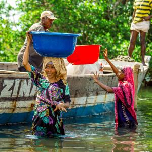 This group of photos captures the fish processing journey from the moment the fish is landed from the sea to its final distribution. The images highlight key stages, including offloading from fishing vessels, boiling to preserve quality, sun-drying for longer storage, and packaging before being transported to markets. Photo by Festo Lumwe