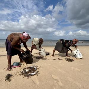 Sorting their harvest, women gleaners show their catch to traders—each selling individually, yet coming together to collectively negotiate prices because they know their power comes from their sisterhood. Photo by Sara Bonilla-Anariba, WorldFish