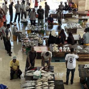 fish market in zanzibar.
