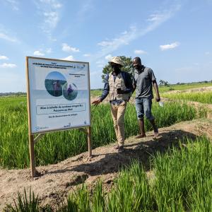 Rice- Fish Farmer Bernard