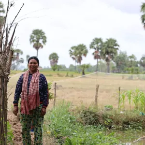 rice field system view with support from CGIAR Multifunctional Landscapes