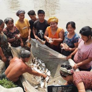 A women-led fish harvesting group in Rowangchhari, Bandarban. Photo: WorldFish, Bangladesh
