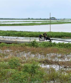 MYFish Phase II: Improving research and development of Myanmar's inland and coastal fisheries