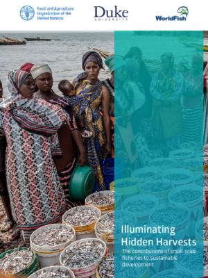 Illuminating Hidden Harvests The contributions of small-scale  fisheries to sustainable development