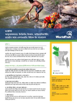 Aquaculture: Increasing income, diversifying diets, and empowering women in Bangladesh (Bangla version)