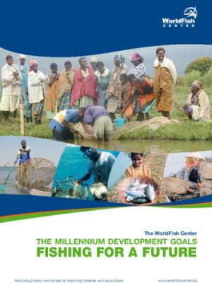 The millennium development goals fishing for a future