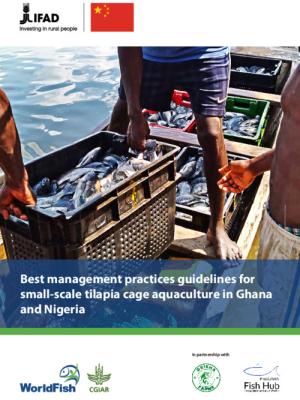 Best Management Practices guidelines for small scale tilapia cage aquaculture in Ghana and Nigeria