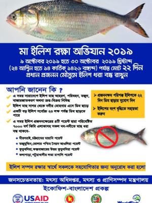 Mother hilsa conservation messages (Bangla version)