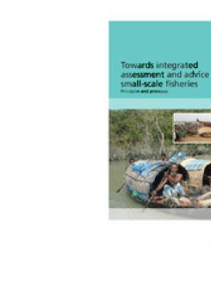 Towards integrated assessment and advice in small-scale fisheries: principles and processes