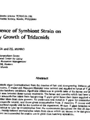 Influence of symbiont strain on early growth of tridacnids