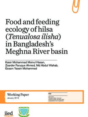 Food and feeding ecology of hilsa (Tenualosa ilisha) in Bangladesh’s Meghna River basin