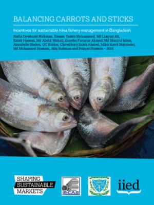 Balancing carrots and sticks: incentives for sustainable hilsa fishery management in Bangladesh