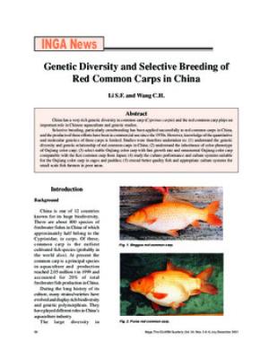 Genetic diversity and selective breeding of red common carps in China