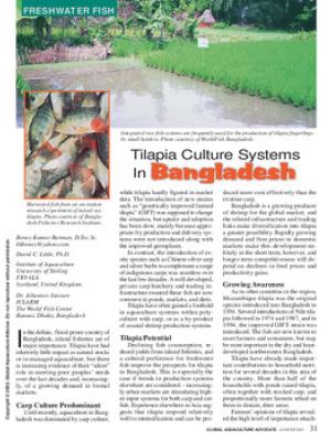 Tilapia culture systems in Bangladesh
