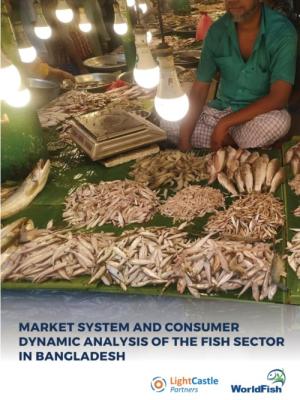 Market System and Consumer Dynamic Analysis of the Fish Sector in Bangladesh