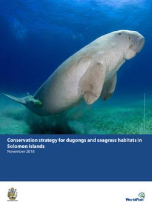 Conservation strategy for dugongs and seagrass habitats in Solomon Islands