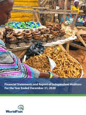 Financial Statements and Report of Independent Auditors For the Year Ended December 31, 2020