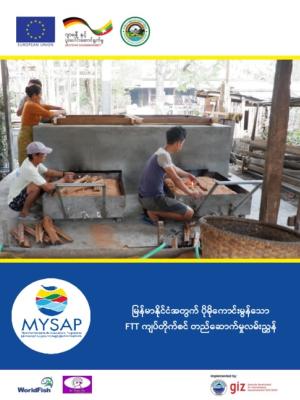 Guide for the construction of an FTT smoker in Myanmar (Burmese version)