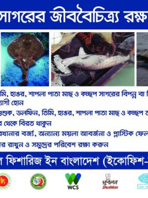 Megafauna poster for World Wildlife day (Bangla version)