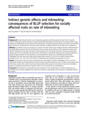 Indirect genetic effects and inbreeding: Consequences of BLUP selection for socially affected traits on rate of inbreeding