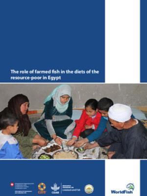 The role of farmed fish in the diets of the resource-poor in Egypt