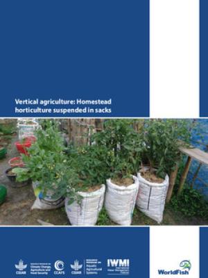 Vertical agriculture: Homestead horticulture suspended in sacks