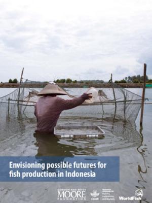 Envisioning possible futures for fish production in Indonesia