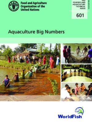 Aquaculture big numbers