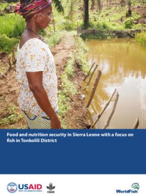 Food and nutrition security in Sierra Leone with a focus on fish in Tonkolili District