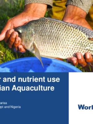 Fertilizer and nutrient use in Egyptian Aquaculture