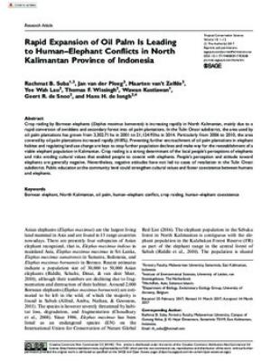Rapid expansion of oil palm is leading to human-elephant conflicts in North Kalimantan province of Indonesia