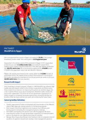 WorldFish in Egypt