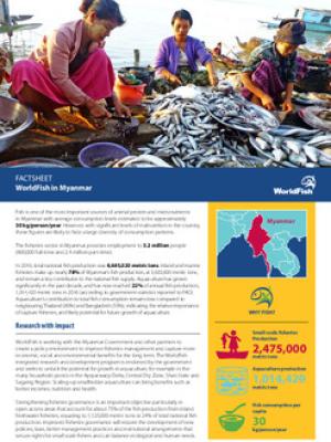 WorldFish in Myanmar